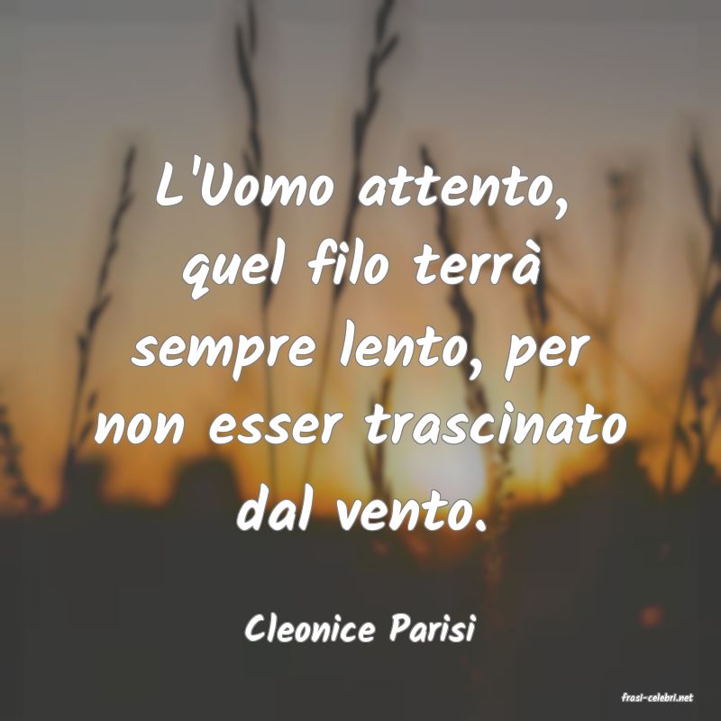 frasi di  Cleonice Parisi
