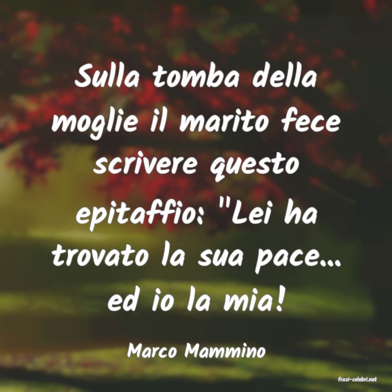 frasi di Marco Mammino