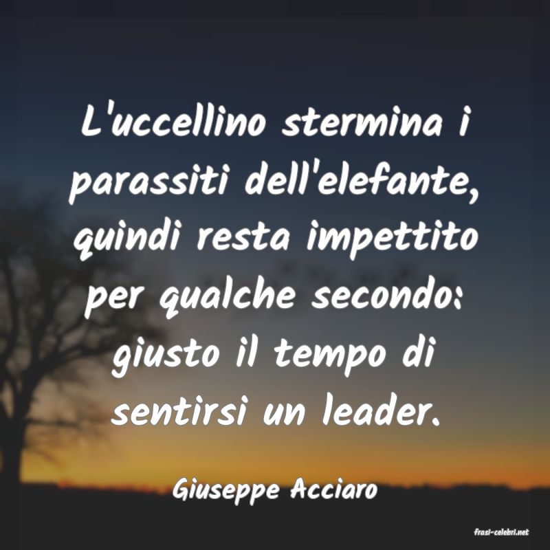 frasi di Giuseppe Acciaro