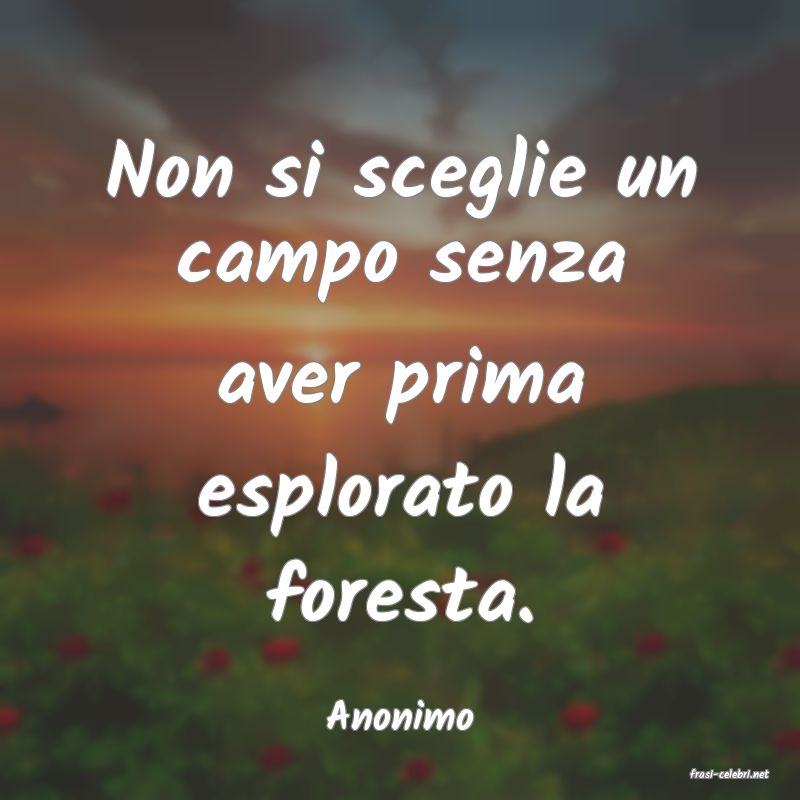 frasi di Anonimo