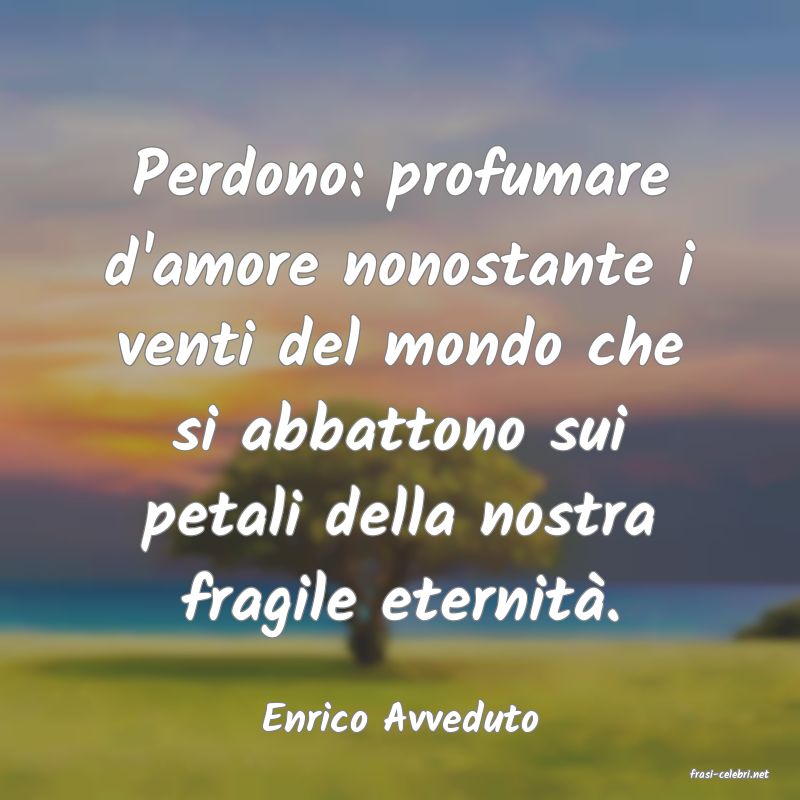 frasi di Enrico Avveduto