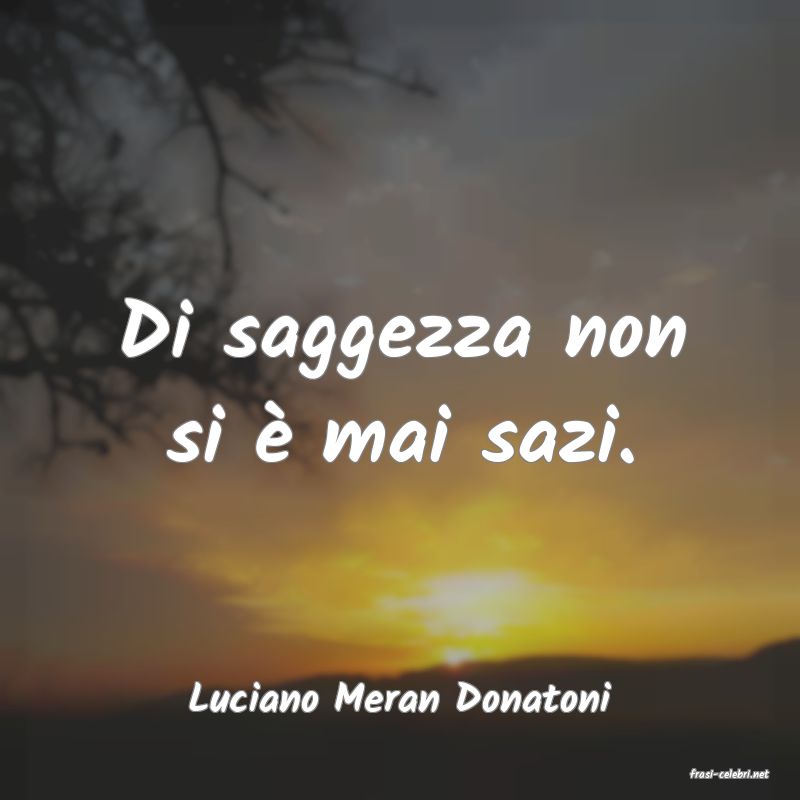 frasi di  Luciano Meran Donatoni
