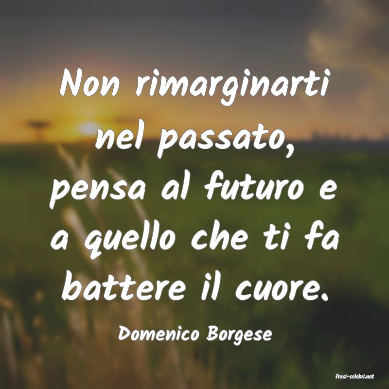 frasi di  Domenico Borgese

