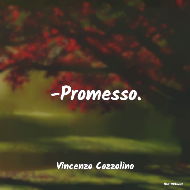 frasi di  Vincenzo Cozzolino
