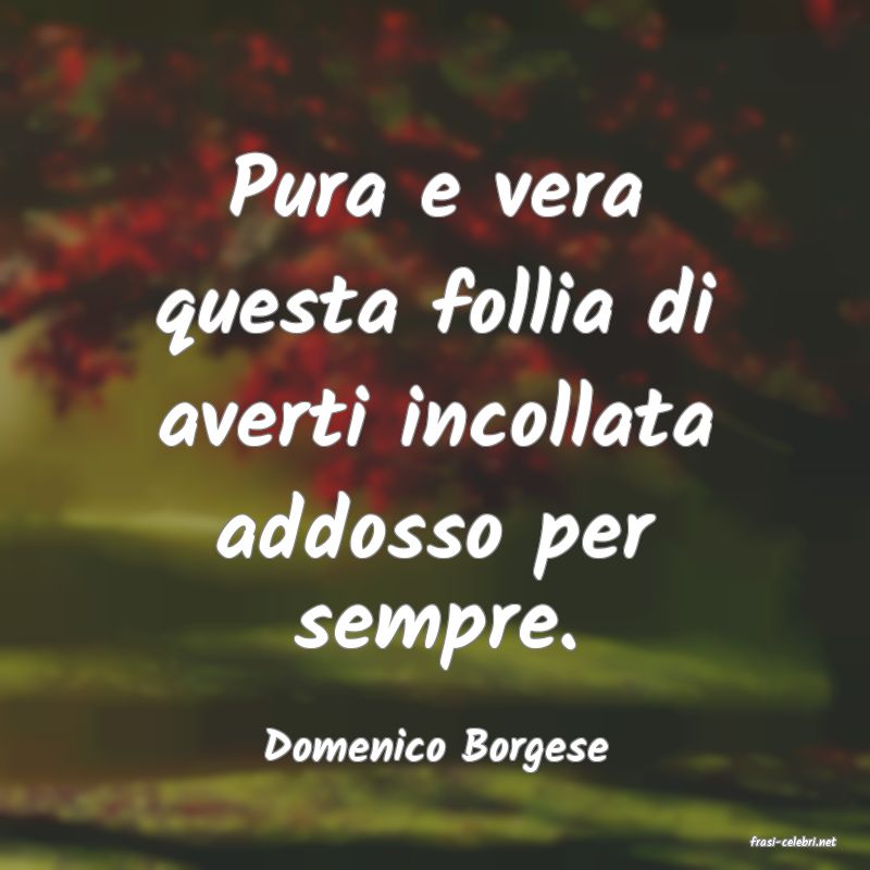 frasi di  Domenico Borgese
