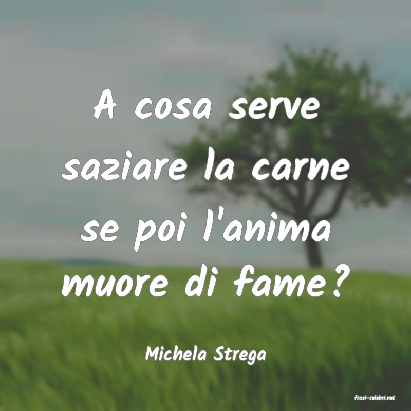 frasi di  Michela Strega
