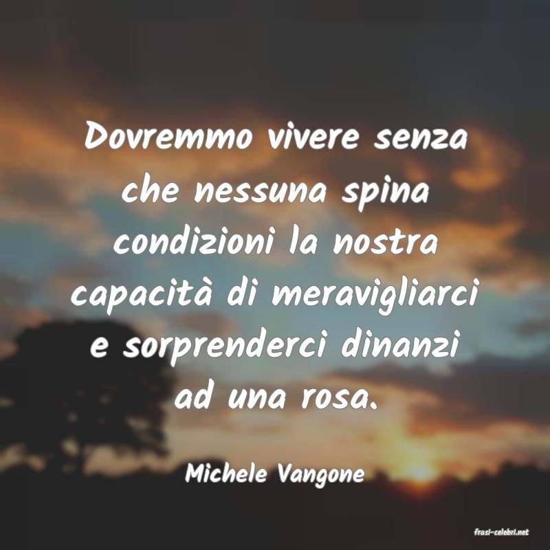 frasi di  Michele Vangone
