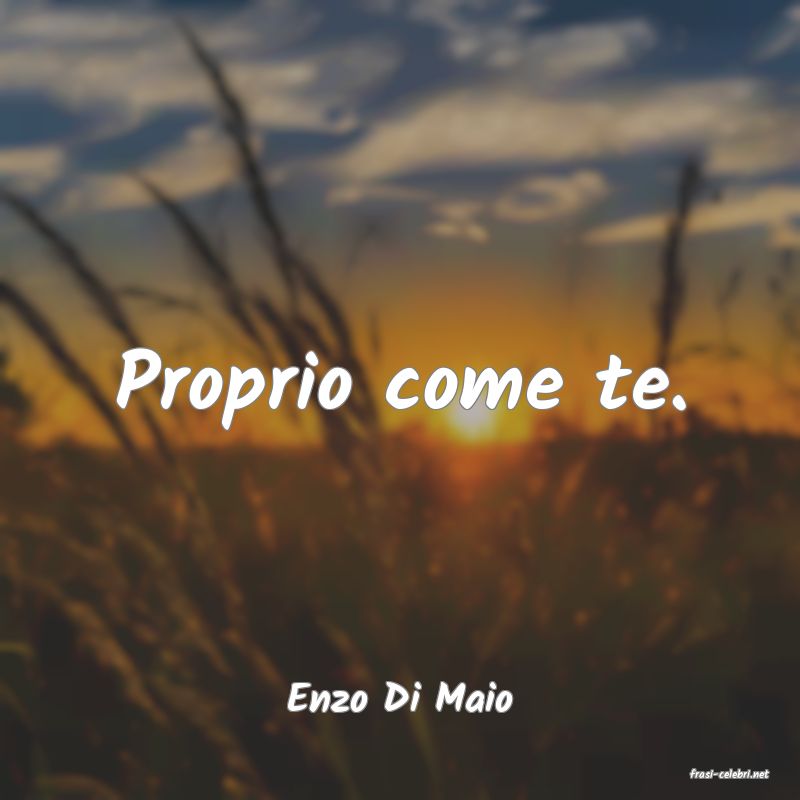 frasi di  Enzo Di Maio
