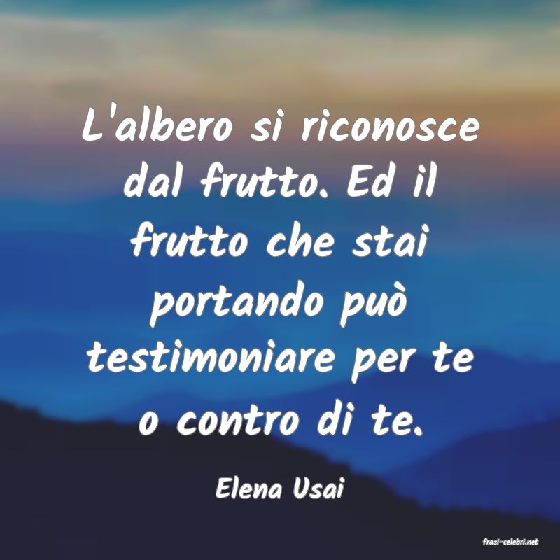 frasi di  Elena Usai
