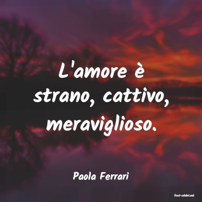 frasi di  Paola Ferrari
