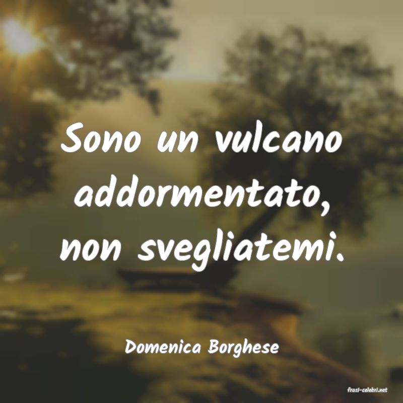 frasi di  Domenica Borghese
