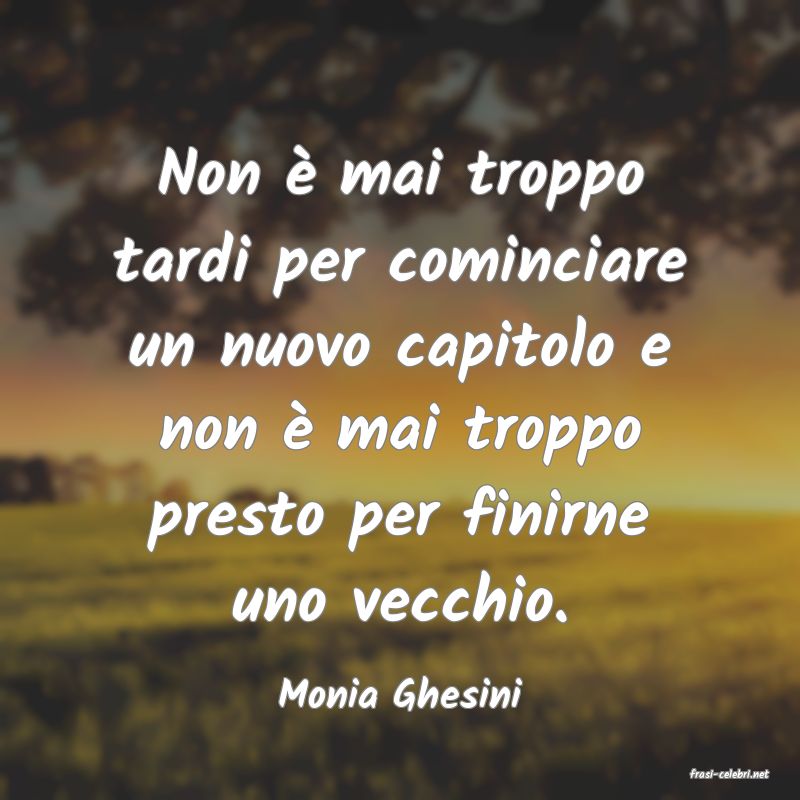 frasi di  Monia Ghesini

