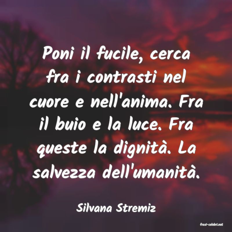 frasi di Silvana Stremiz