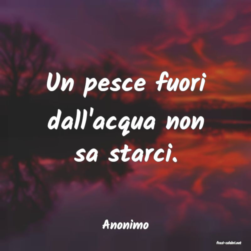 frasi di Anonimo
