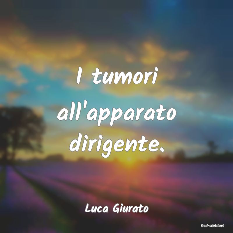 frasi di Luca Giurato
