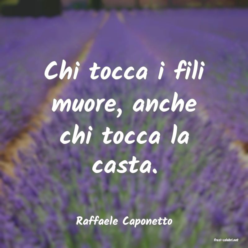 frasi di Raffaele Caponetto