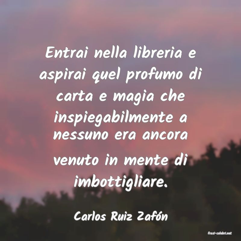 frasi di Carlos Ruiz Zafn