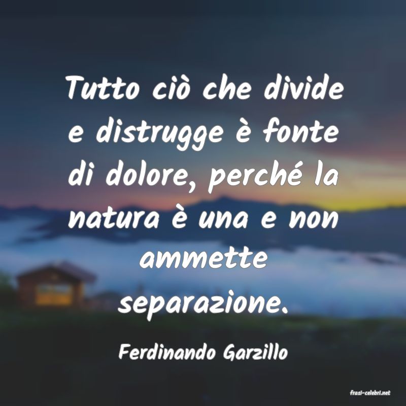 frasi di  Ferdinando Garzillo
