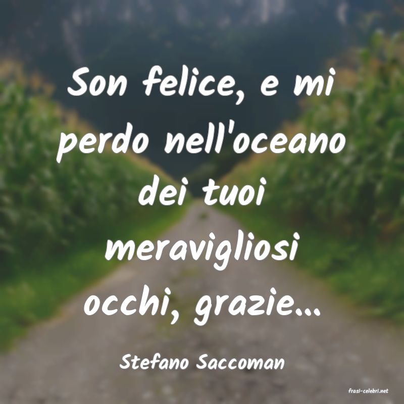 frasi di Stefano Saccoman