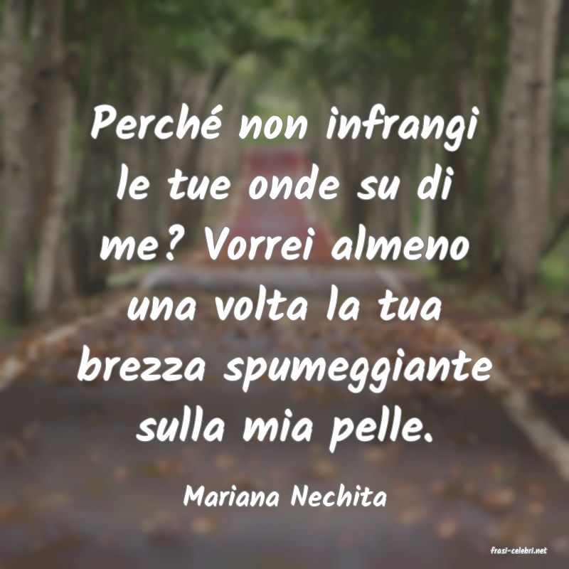 frasi di  Mariana Nechita
