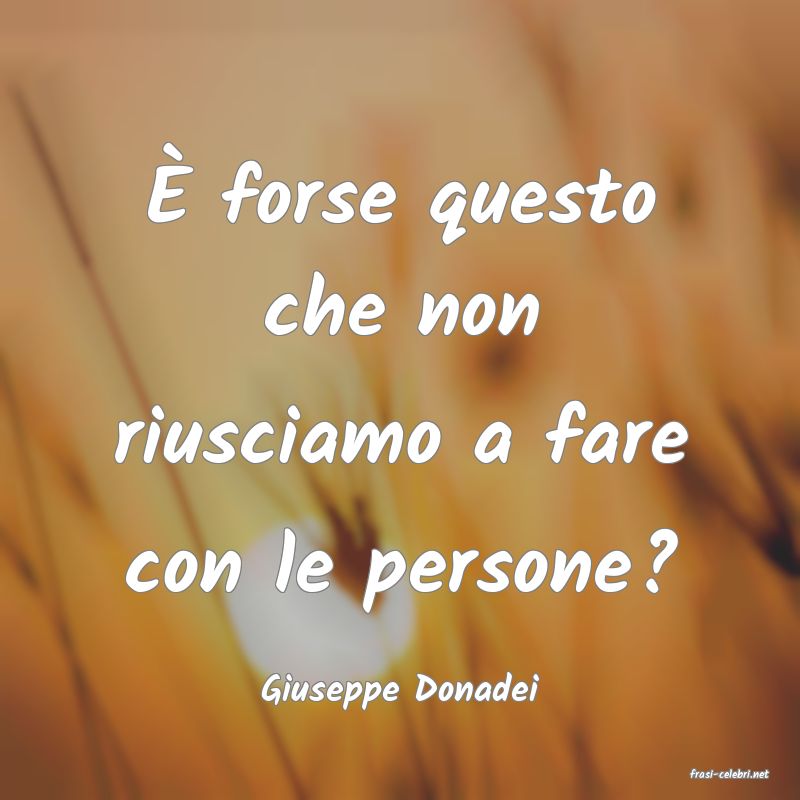 frasi di  Giuseppe Donadei
