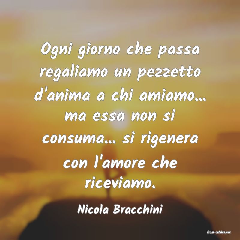 frasi di  Nicola Bracchini
