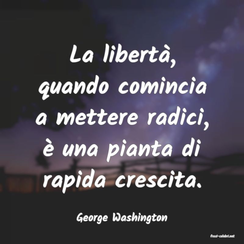 frasi di George Washington