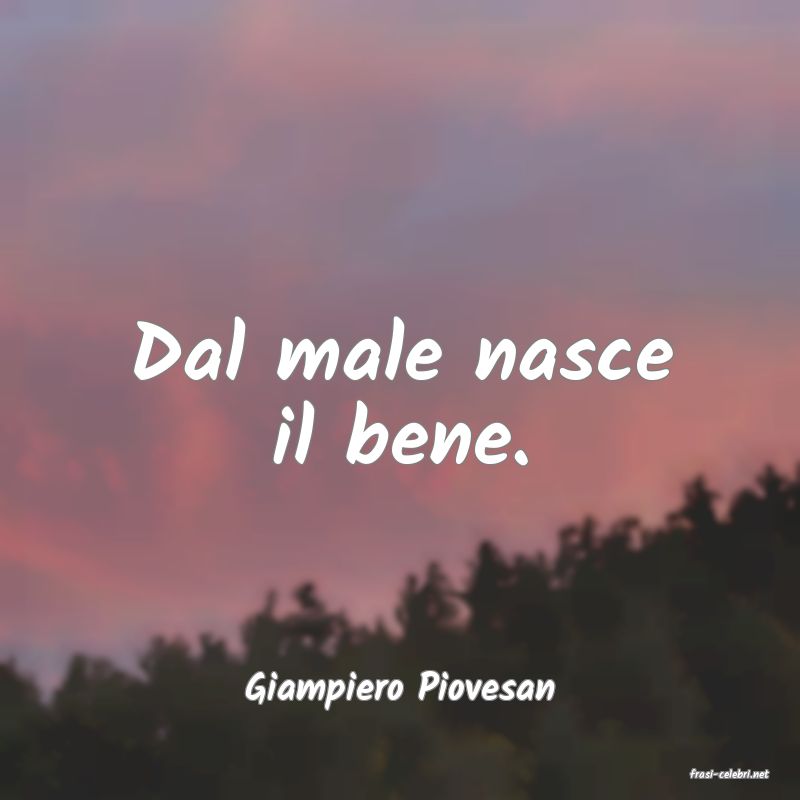 frasi di  Giampiero Piovesan
