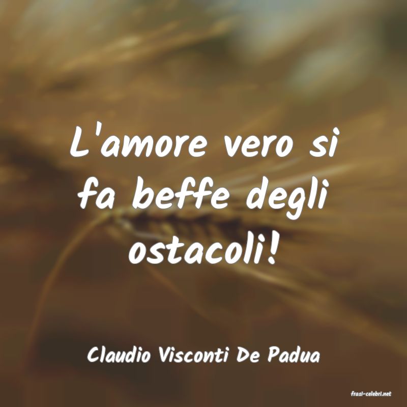 frasi di  Claudio Visconti De Padua
