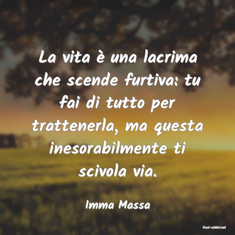 frasi di Imma Massa