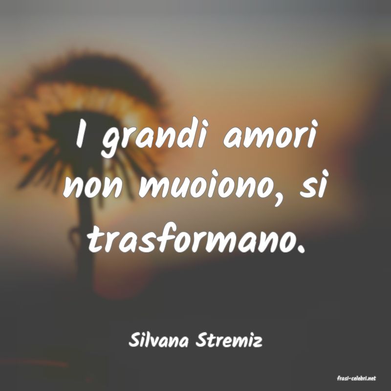 frasi di  Silvana Stremiz
