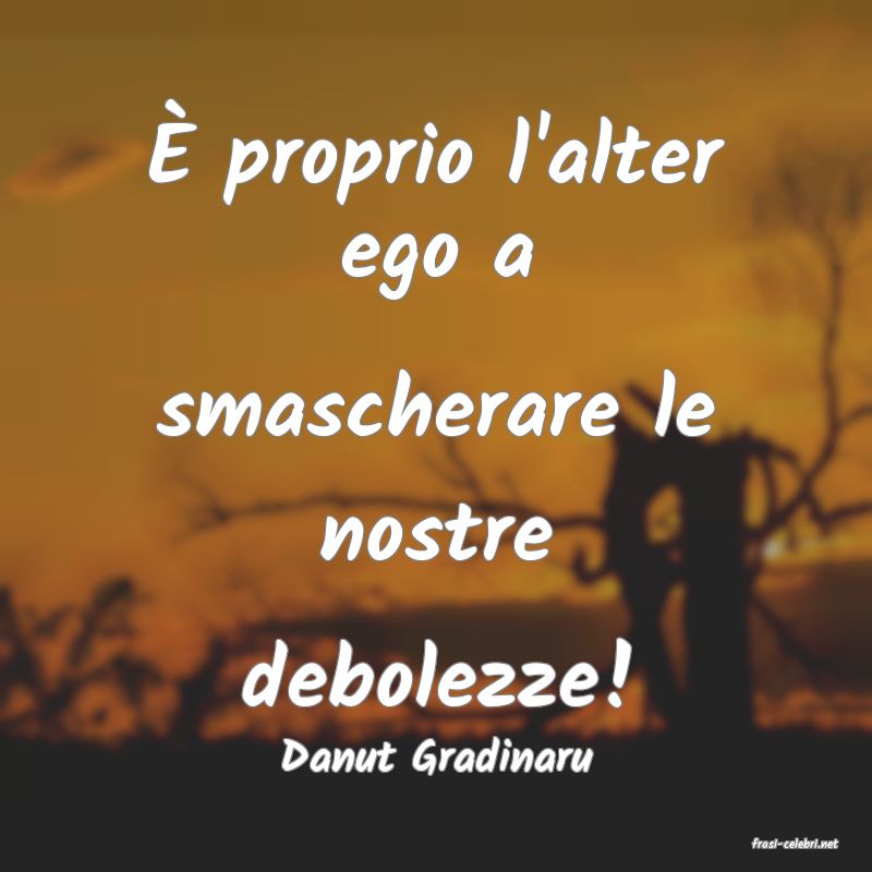 frasi di  Danut Gradinaru
