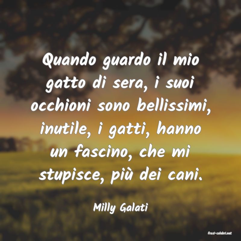 frasi di  Milly Galati
