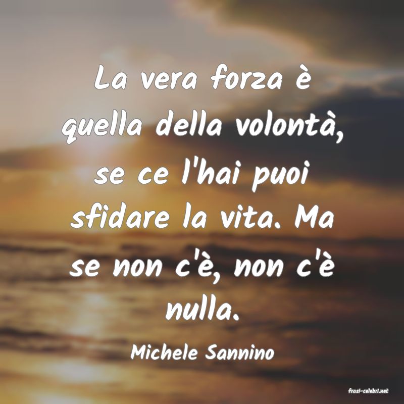 frasi di  Michele Sannino
