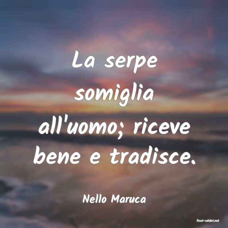 frasi di  Nello Maruca
