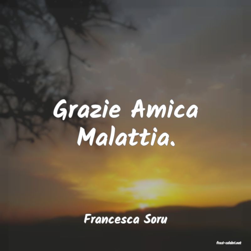 frasi di  Francesca Soru
