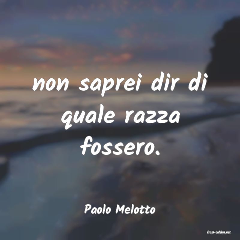 frasi di  Paolo Melotto
