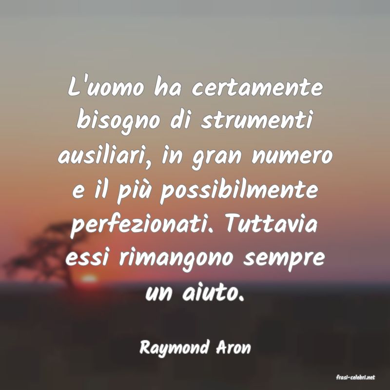frasi di Raymond Aron