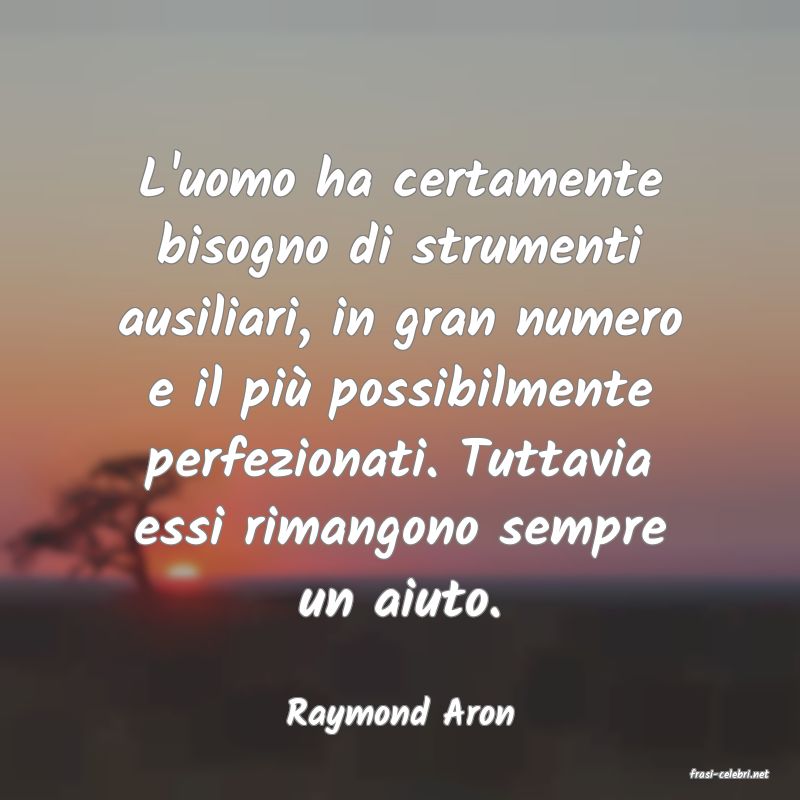 frasi di Raymond Aron