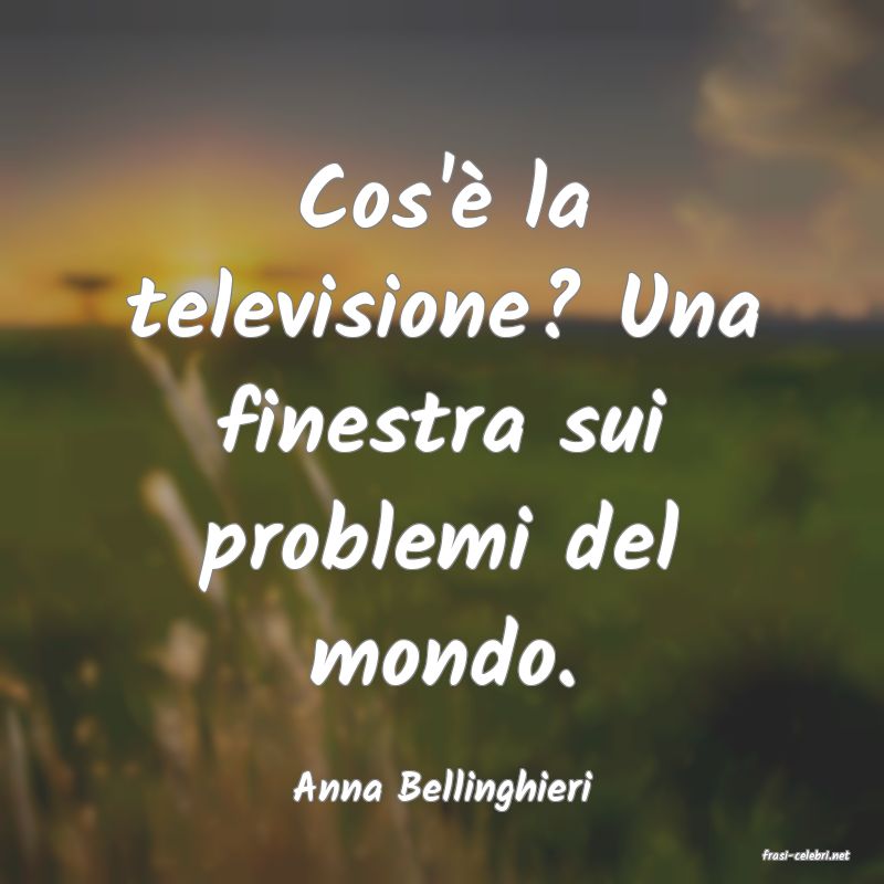 frasi di Anna Bellinghieri