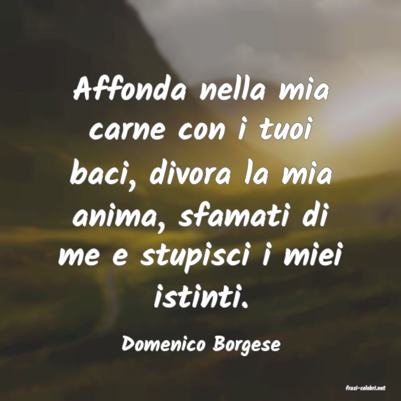 frasi di  Domenico Borgese
