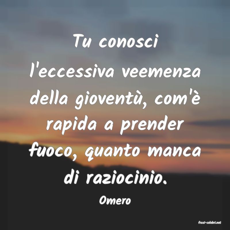 frasi di  Omero
