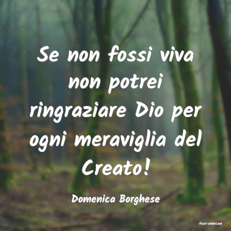 frasi di  Domenica Borghese
