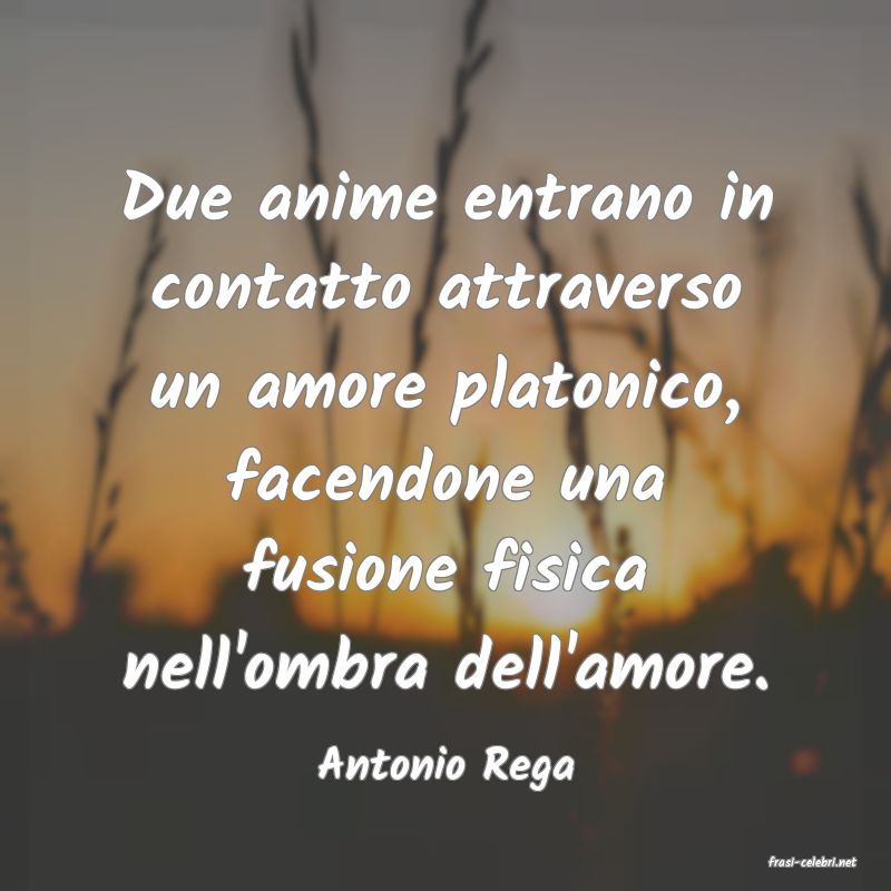 frasi di  Antonio Rega
