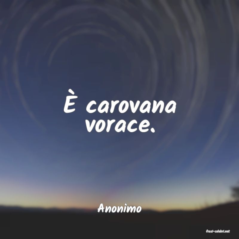 frasi di  Anonimo
