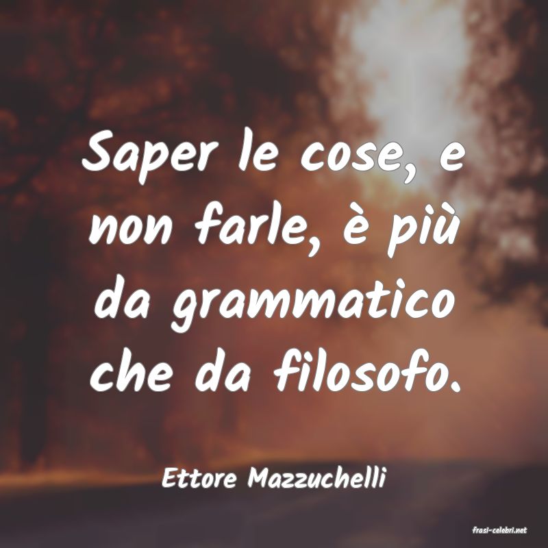 frasi di  Ettore Mazzuchelli
