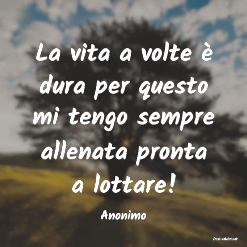 frasi di  Anonimo
