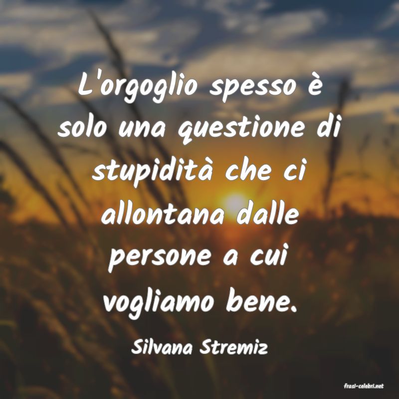 frasi di  Silvana Stremiz
