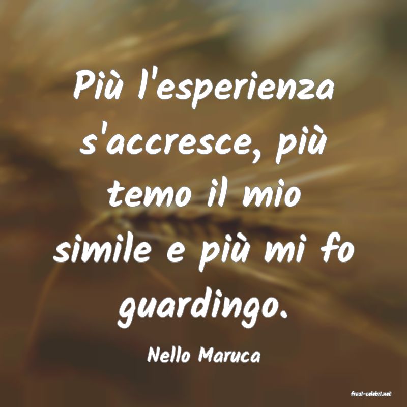 frasi di  Nello Maruca
