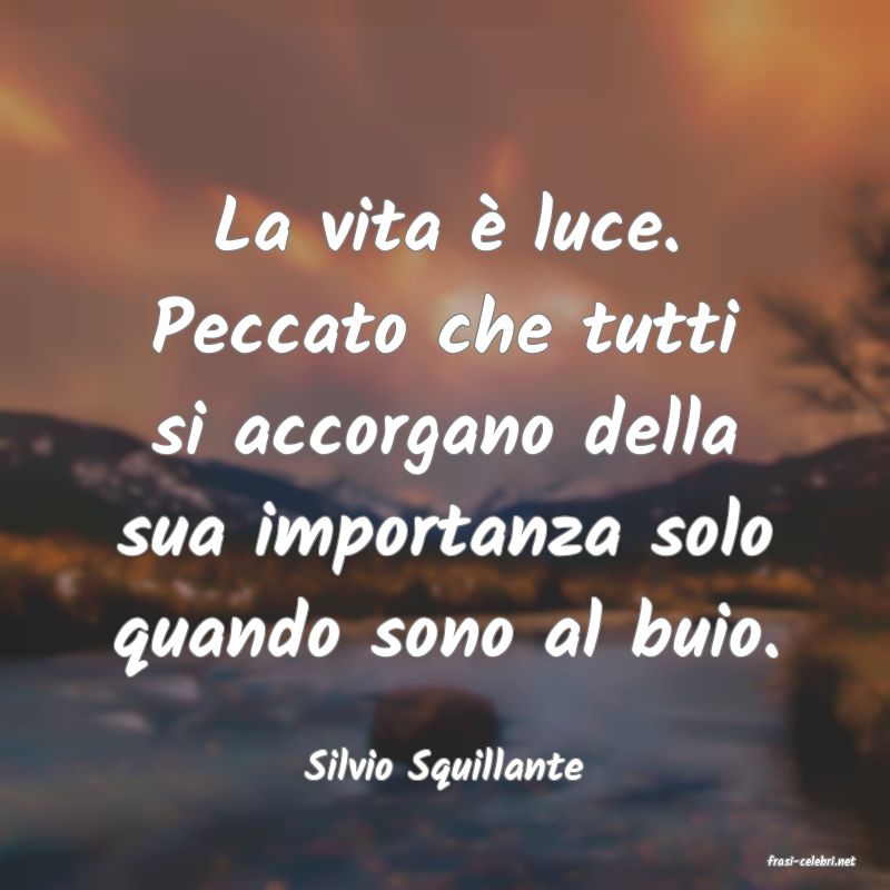 frasi di  Silvio Squillante
